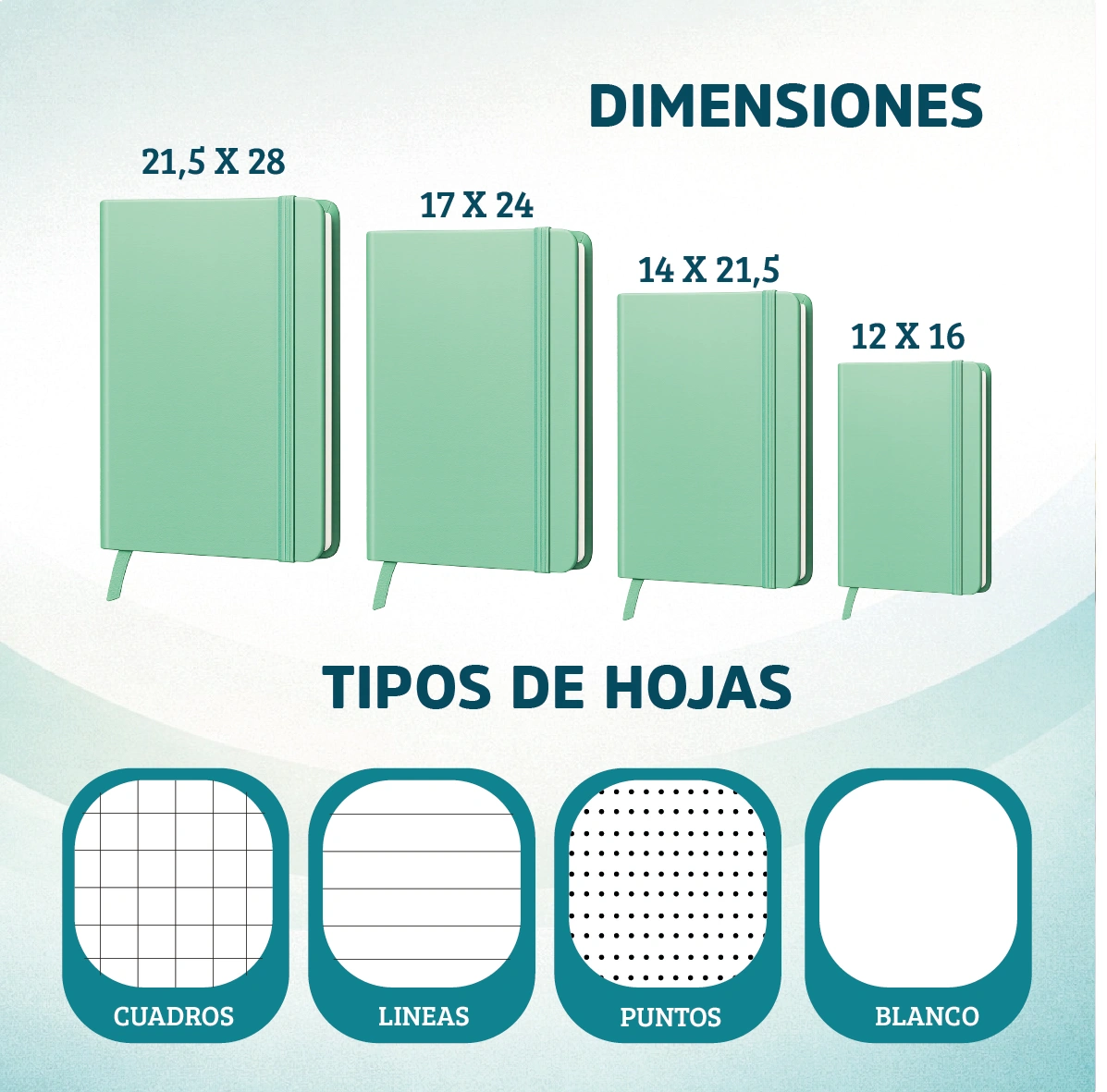dimensiones y hoja